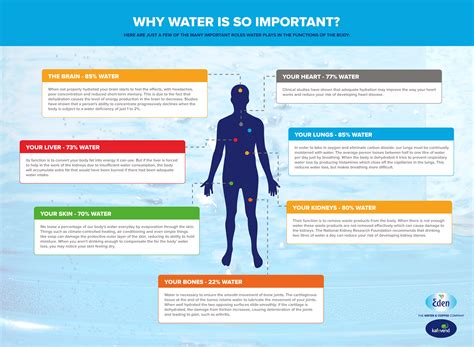 importance of water on earth|why is water important to humans.